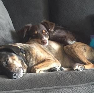 Meet your Posher, Adam